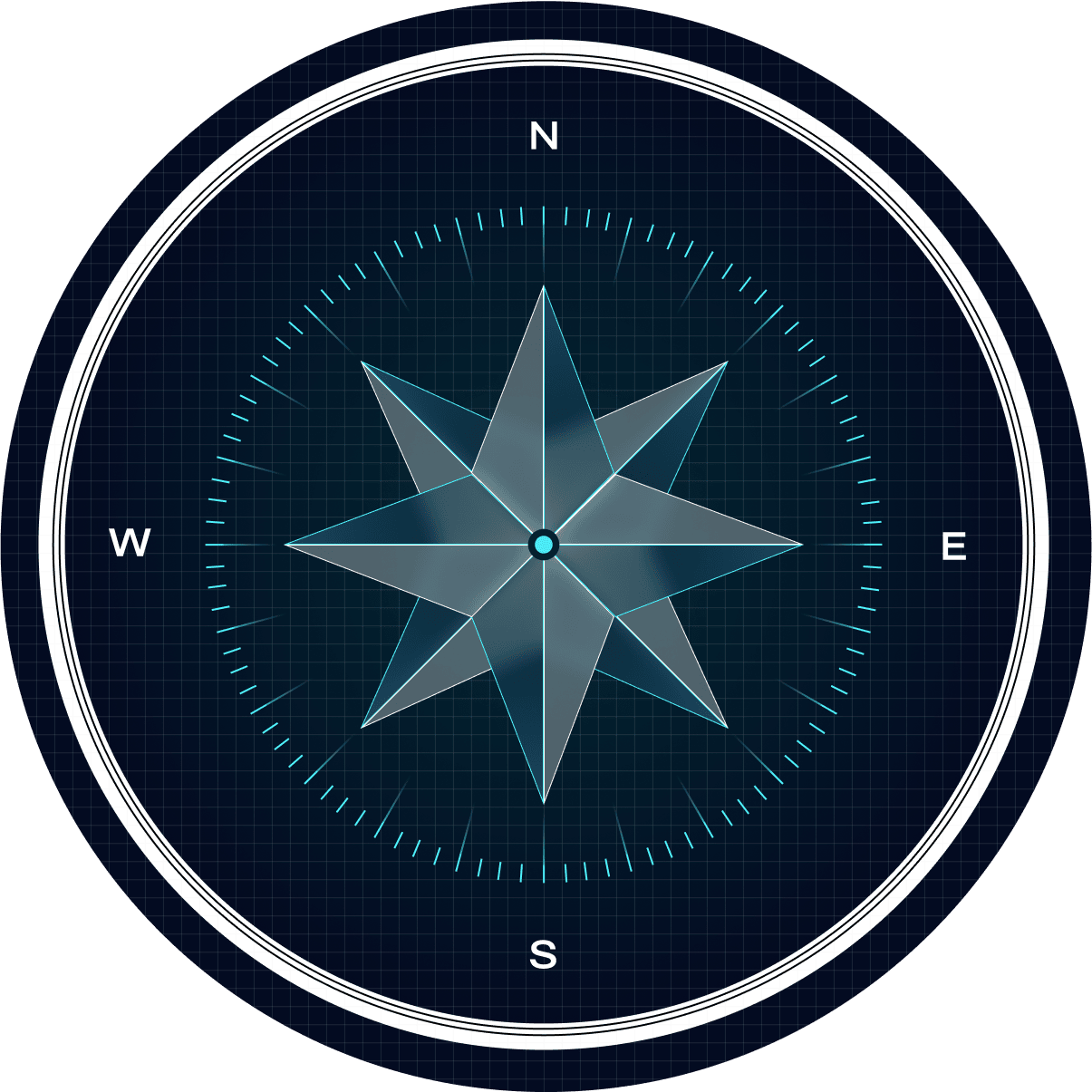 wind rose